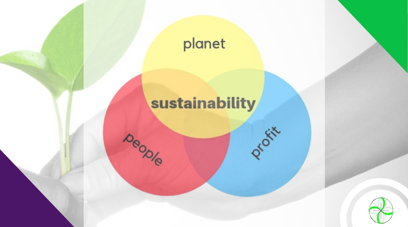 Environment and Sustainability- Rain Forest Limited